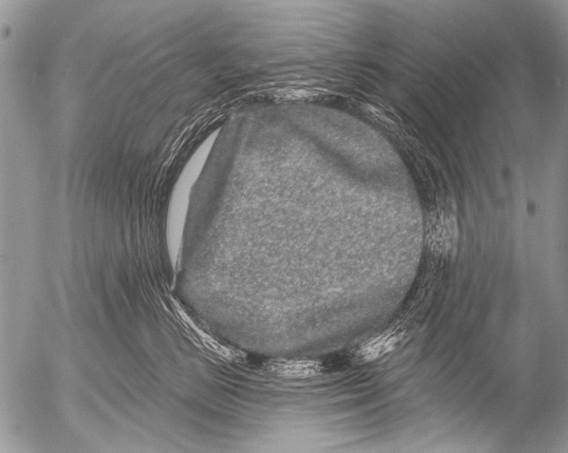 X0000054460670200508270105