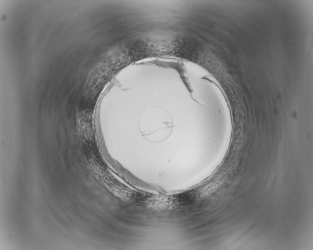 X0000054460672200508270105