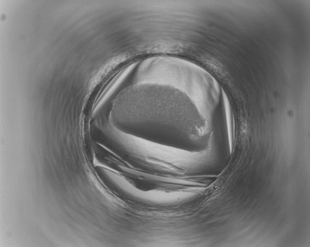 X0000054460678200508270104