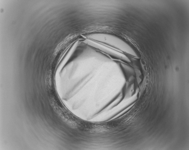 X0000054460682200508270104