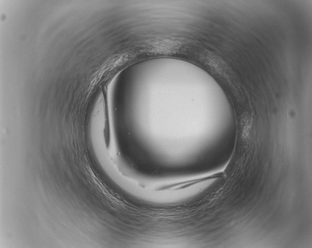 X0000054460685200508270104