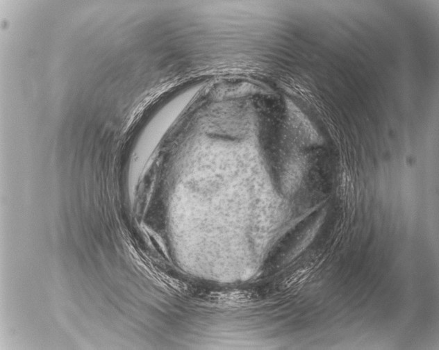 X0000054460688200508270104