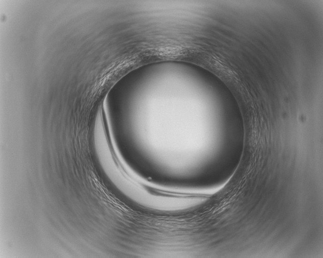 X0000054460689200508270104