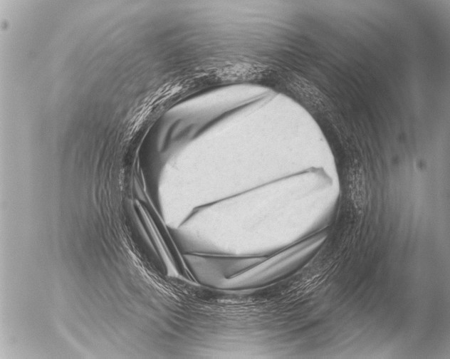 X0000054460690200508270104