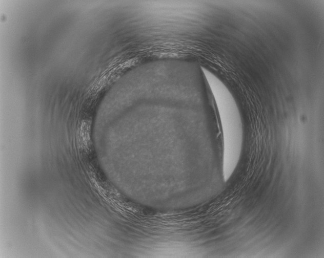 X0000054460695200508270104