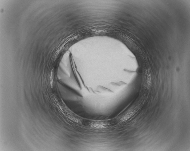 X0000054460710200508270104