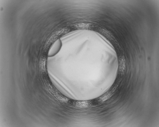 X0000054460717200508270104