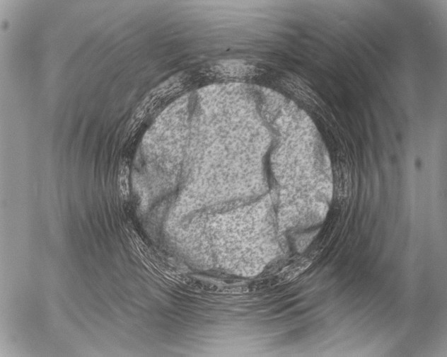 X0000054460718200508270104