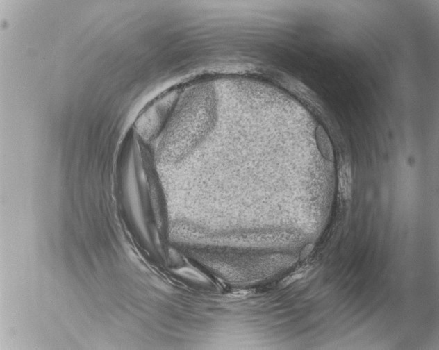 X0000054460724200508270103