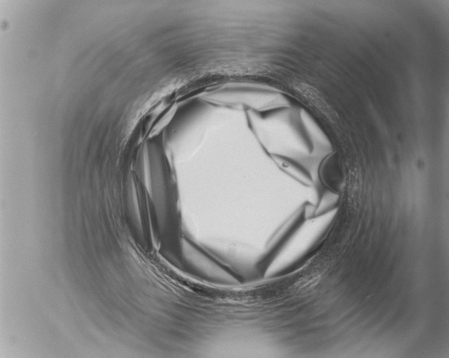 X0000054460727200508270103