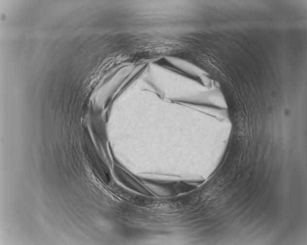 X0000054460738200508270103