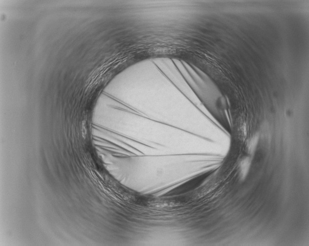 X0000054460746200508270103