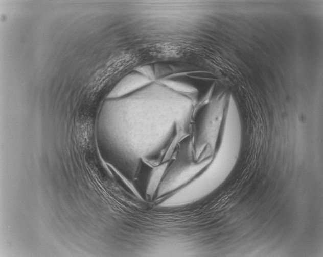 X0000054460747200508270103