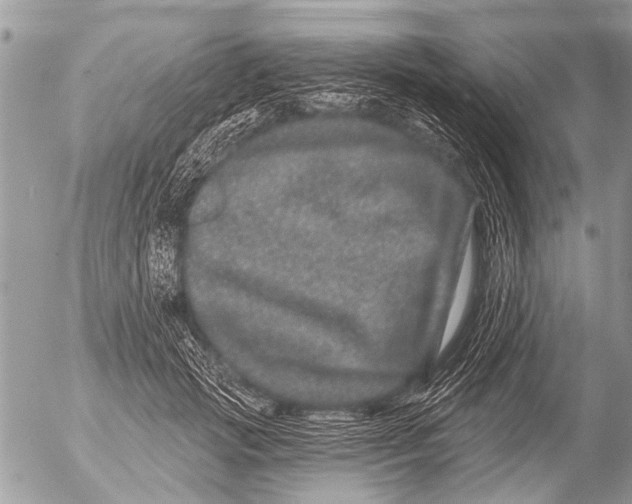 X0000054460749200508270103