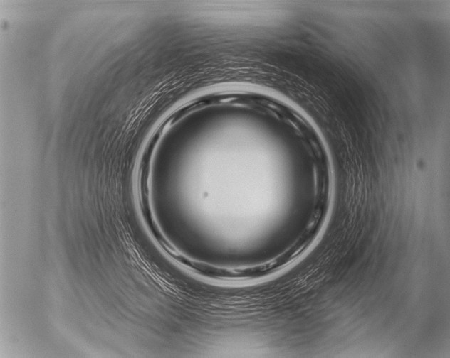 X0000054460750200508270103