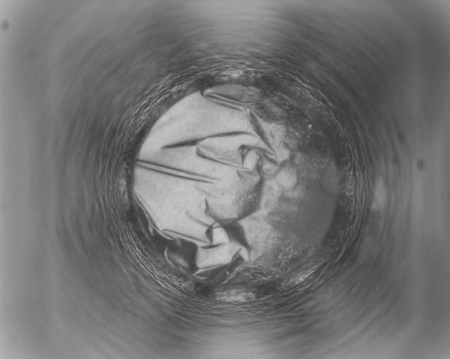 X0000054460754200508270104