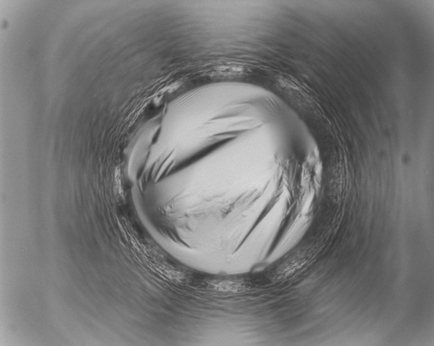 X0000054460755200508270104
