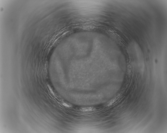 X0000054460757200508270104