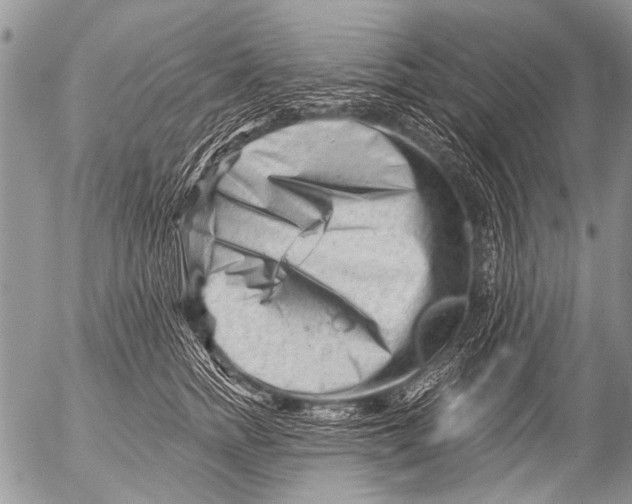 X0000054460758200508270104