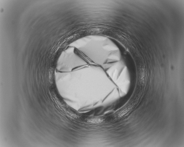 X0000054460759200508270104