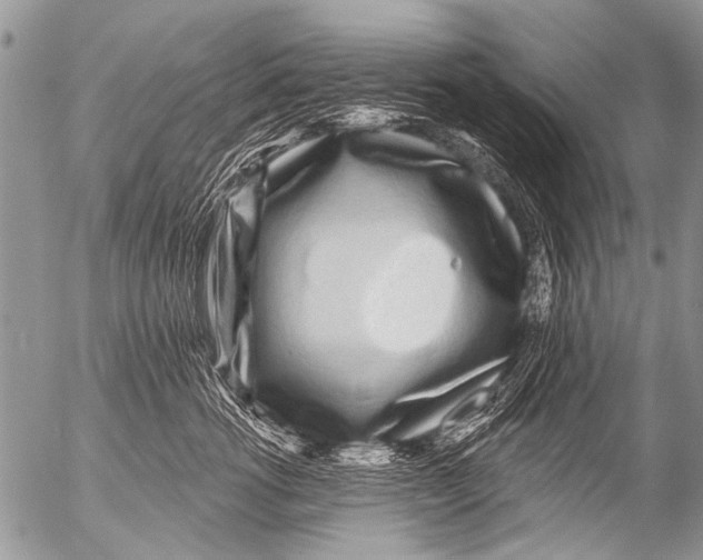 X0000054460762200508270104