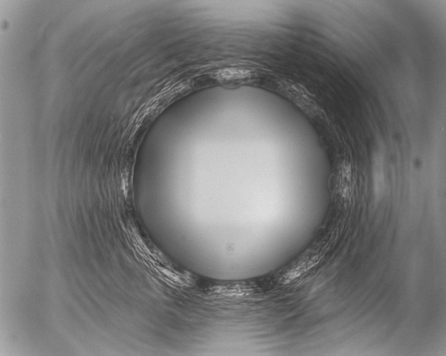 X0000054460763200508270104