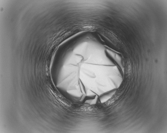 X0000054460764200508270104
