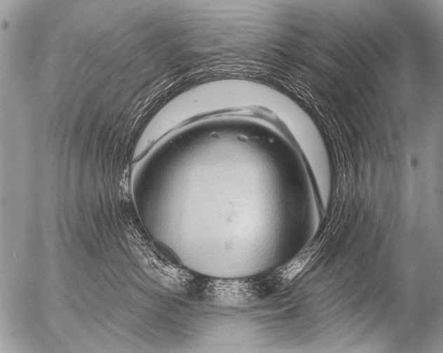 X0000054460766200508270104