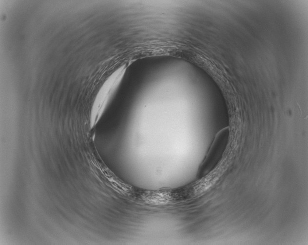 X0000054460768200508270104