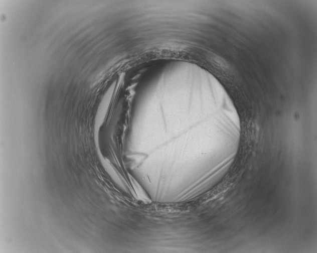 X0000054460774200508270103
