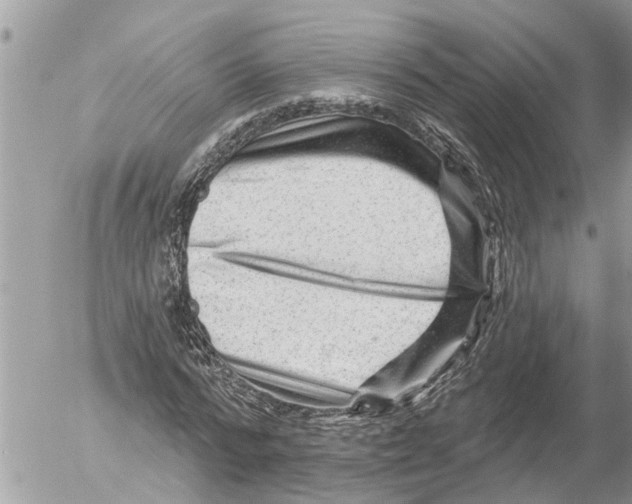 X0000054460776200508270103