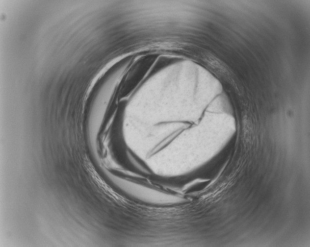 X0000054460784200508270103
