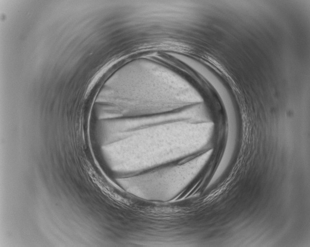 X0000054460788200508270103