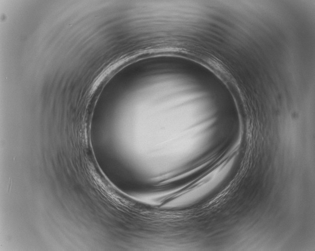 X0000054460789200508270103