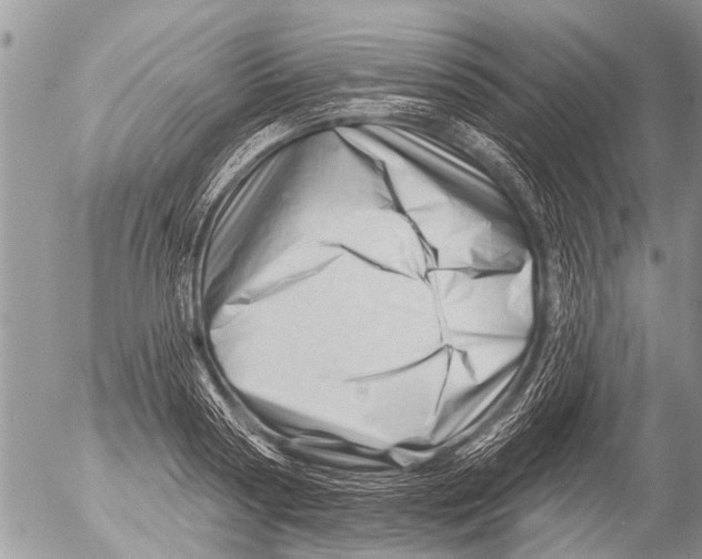 X0000054460794200508270103