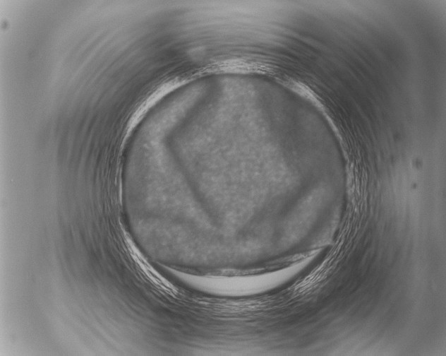 X0000054460795200508270103