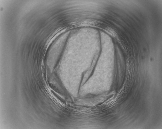 X0000054460798200508270103