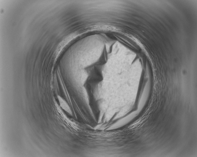 X0000054460799200508270102