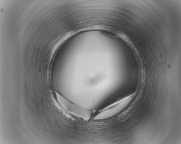 X0000054460805200508270102