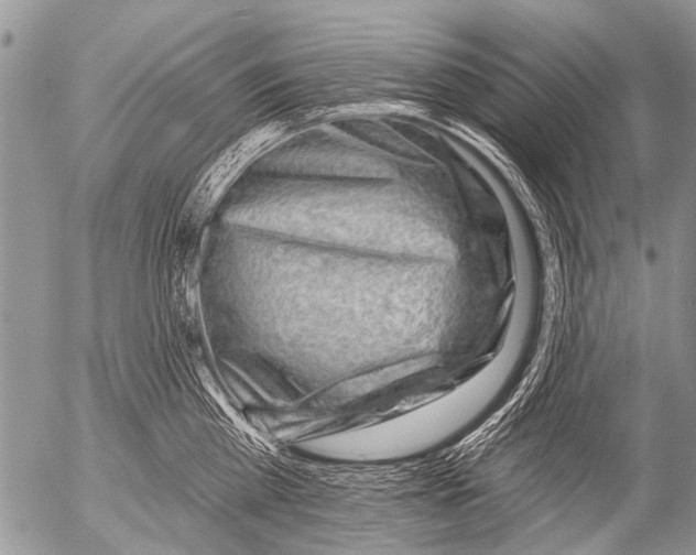 X0000054460809200508270102
