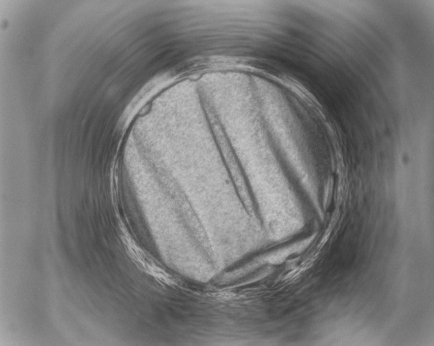 X0000054460814200508270102