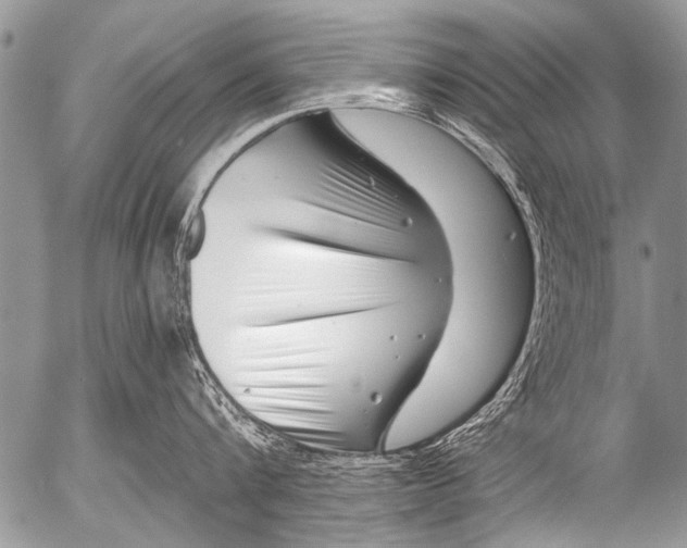 X0000054460816200508270102