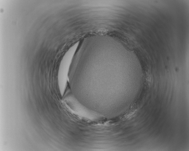 X0000054460818200508270101