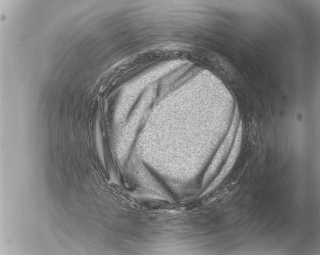 X0000054460821200508270101