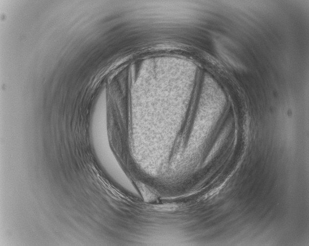 X0000054460825200508270102