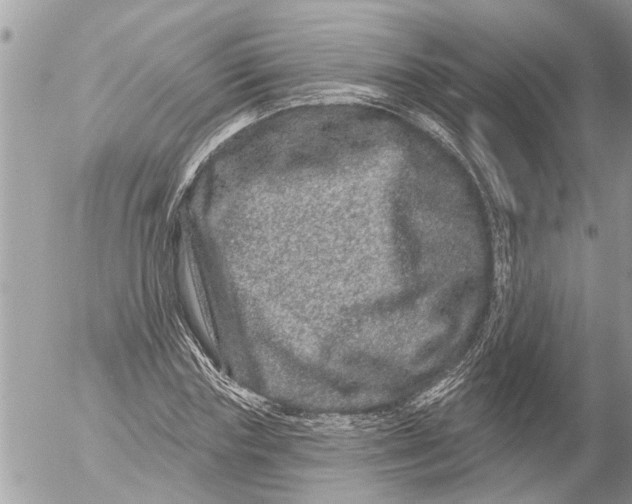 X0000054460827200508270102