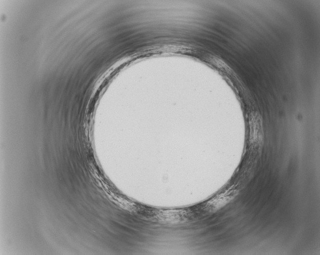 X0000054460828200508270102
