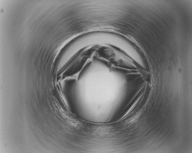 X0000054460830200508270102