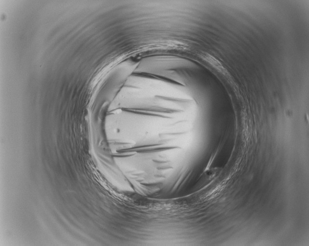 X0000054460834200508270102