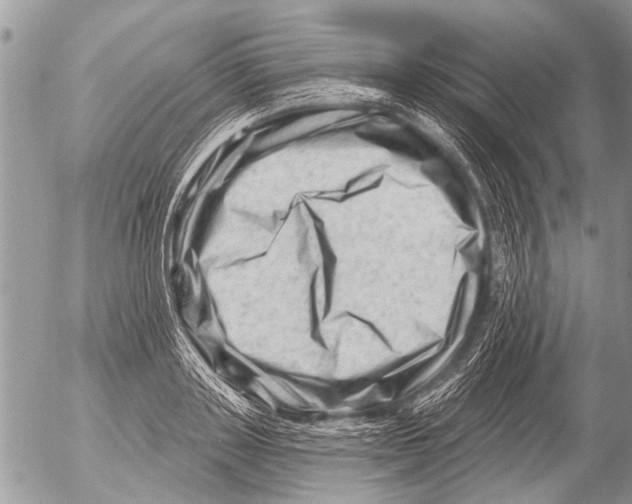 X0000054460843200508270102